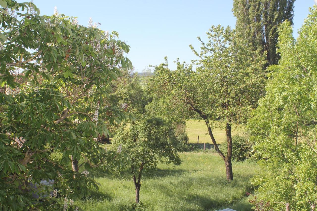 Fewo Am Schlossberg Neusitz  Екстериор снимка