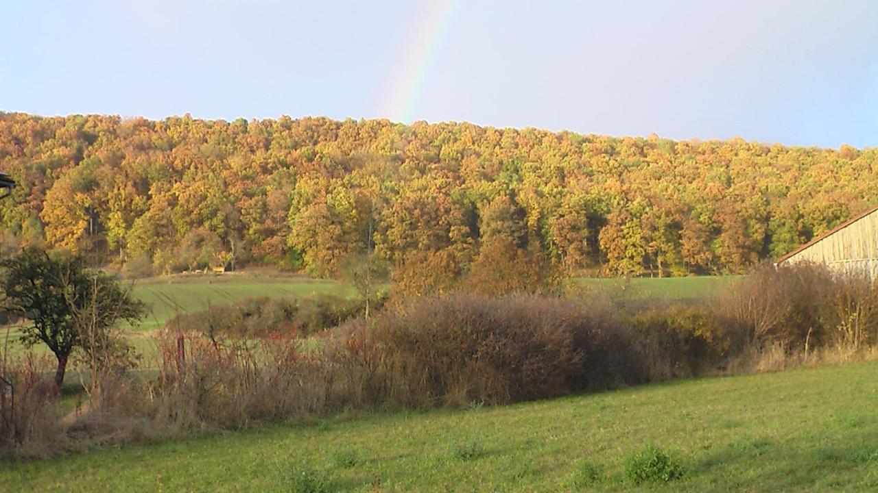 Fewo Am Schlossberg Neusitz  Екстериор снимка